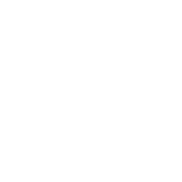 雙渠道可選無線傳輸